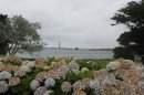 Phare de l'île Vierge fleuri